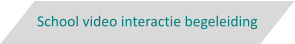 School video interactie begeleiding