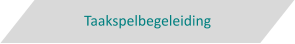 Taakspelbegeleiding
