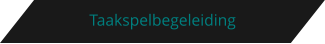 Taakspelbegeleiding