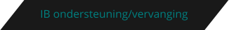 IB ondersteuning/vervanging