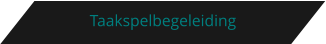 Taakspelbegeleiding